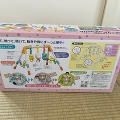 ベビーFunfun ジムの画像