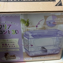 GEXクリアフロント30パープルの画像