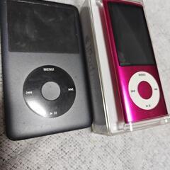 apple の化石達の画像