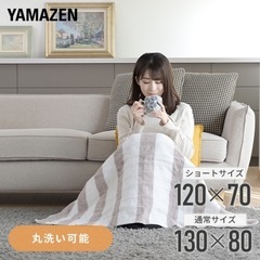 山善 YAMAZEN 省エネ 電気毛布 敷毛布 ブランケット