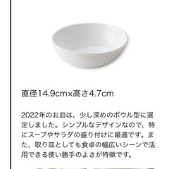 ★新品未使用★ 1枚の値段です！の画像