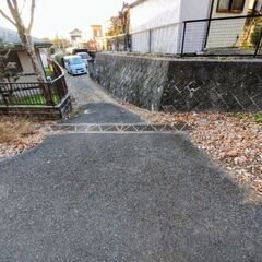 薪ストーブ用に 柿、梅、椿、イチジクなどの枝、幹の画像