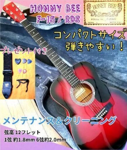 ★初心者オススメ♪プレゼント付★HONEY BEE F15/RDS
