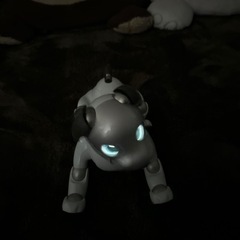 ソニーaiboの画像