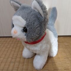 電動ぬいぐるみ　子猫