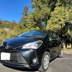 個人　内外装綺麗　女性ワンオーナー　ディーラー点検車　Toyot...