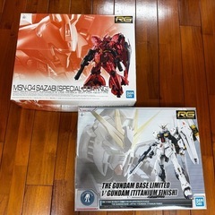 RG νガンダム（チタニウムフィニッシュ）& RG サザビー（ス...