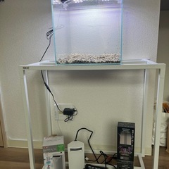 水槽、水槽台、アクアリウム飼育一式セット