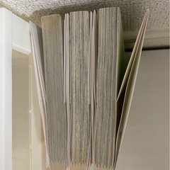 カッコウの許嫁 1〜3 の画像
