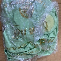 リッチェル　ふかふかベビーチェア ライトグリーンの画像