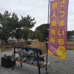 💛さつまいも無人販売💛