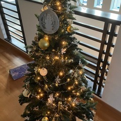 クリスマスツリーの画像