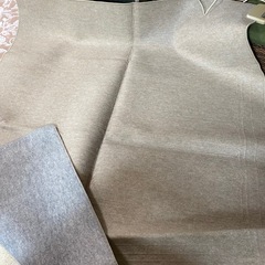 ホットカーペットの画像