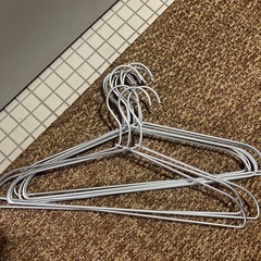 無印良品ステンレスハンガー（10本）