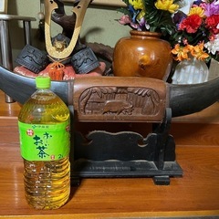 水牛の角