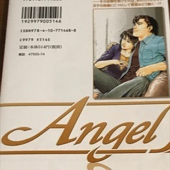 マンガ　エンジェルハート29巻 北条　司の画像