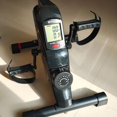 STEADY エアロバイク ミニ フィットネスバイク  電源不要