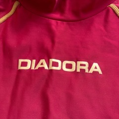 ピステ140の画像