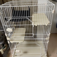 猫用ゲージ