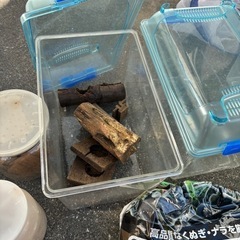 中古　クワガタ(昆虫)飼育ケース他
の画像