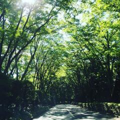 満観峰登りませんか❓️(^ω^)