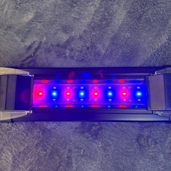 小型水槽LEDライトの画像