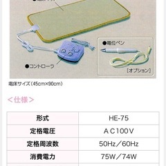 家庭用電位治療器ヒートエッセンスの画像