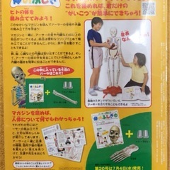 教育　アーサーが教える　体のふしぎ　ガイコツ　人体の画像
