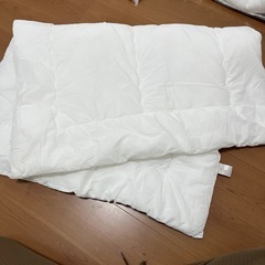 ベビー掛け布団　カバー無し　サンデシカ