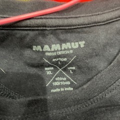 マムートの画像