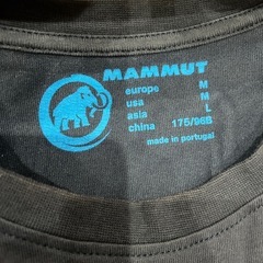 マムートの画像