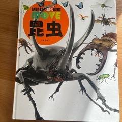 昆虫図鑑
