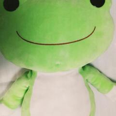 ピクルス君大の画像