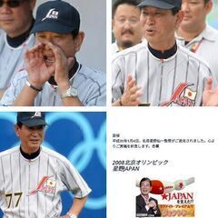 星野仙一/愛用ネックレス Vファイト・プレミアム・夢バージョン②（新品）の画像