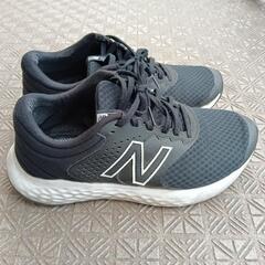 ニューバランス  new balance E420 v2 メンズ...
