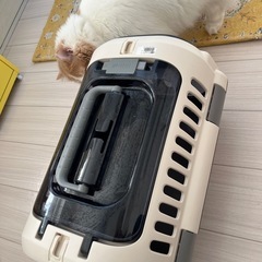 猫ケージ