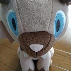 イワンコ　ぬいぐるみ　ポケットモンスターの画像