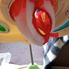 bouncerの画像