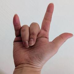 手話を学びたいです！