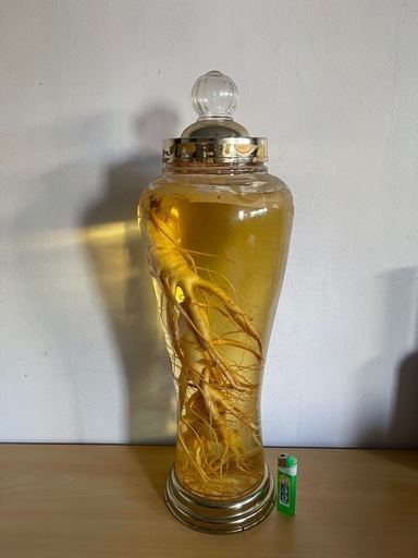 高麗人参酒