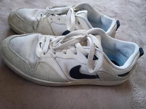 NIKESB アリウープ　スニーカー