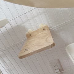 美品☆猫ケージセットの画像