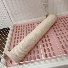 美品☆猫ケージセットの画像