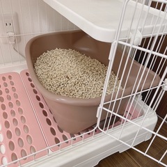 美品☆猫ケージセットの画像