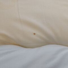 子供用ジュニア敷布団(カバー付き)の画像