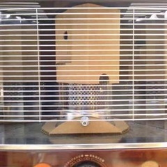未使用のストーブです！の画像