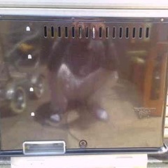 未使用のストーブです！の画像
