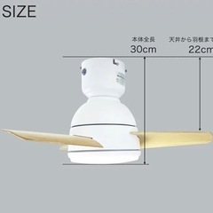 シーリングファンライトの画像