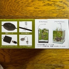 新品 ミニ LED ライト 照明 Beans ビーンズ コトブキ KOTOBUKI 寿工芸  の画像