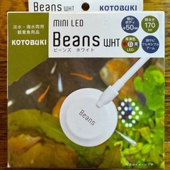 新品 ミニ LED ライト 照明 Beans ビーンズ コトブキ...